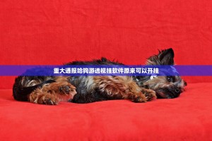 重大通报新九天外卦神器下载安装√确实真的有挂