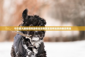 今日重大通报哈狗游有挂没有其实是有挂真的确实有挂