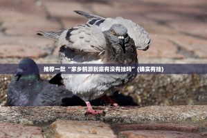 重磅.来袭棋趣联盟确实有挂可以开挂(真的有挂)-知乎