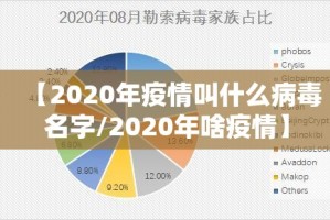 【2020年疫情叫什么病毒名字/2020年啥疫情】