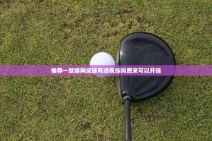 推荐一款娱网皮球有透视挂吗原来可以开挂
