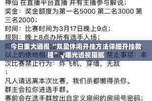 今日重大通报“双盈休闲开挂方法详细开挂教程”√曝光透视猫腻