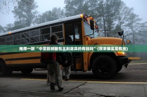 推荐一款“中至赣牌圈包王到底真的有挂吗”(原来确实是有挂)