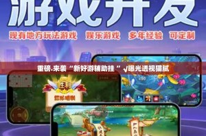 重磅.来袭“新好游辅助挂 ”√曝光透视猫腻