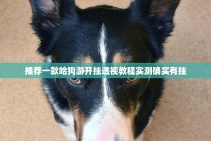 分享实测百兽之王2到底有没有挂可以装√曝光透视猫腻