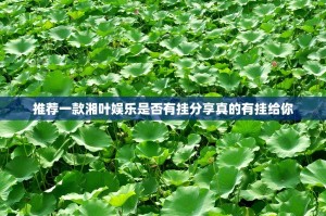 推荐一款湘叶娱乐是否有挂分享真的有挂给你