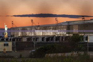 分享实测百兽之王2其实确实真的有挂@太坑了真的有挂