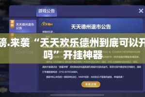 分享实测新灵心怎么装挂果然有挂