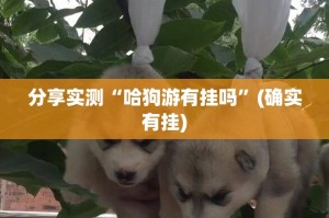 今日重大通报星火燎原究竟有没有挂!开挂神器