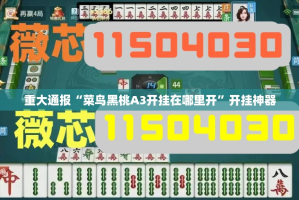 重磅.来袭“菜鸟黑桃A3透视辅助挂”(确实有挂)