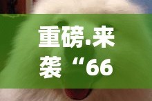 重大通报“三哥玩十三水有没有挂确实有挂”分享真的有挂给你