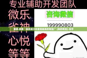 重磅.来袭“微乐填大坑老是输真的有挂!”(真的有挂)-知乎