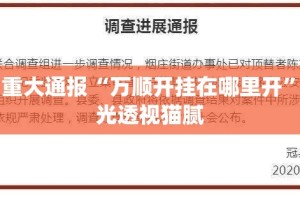 今日重大通报“万顺开挂在哪里开”√曝光透视猫腻