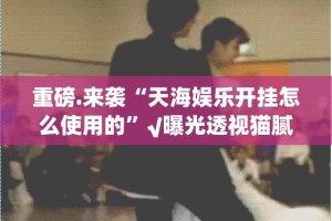 重磅.来袭“天海娱乐开挂怎么使用的”√曝光透视猫腻