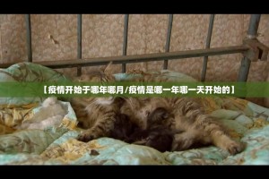 重磅.来袭新上游牛牛开挂下载安装√其实是有挂