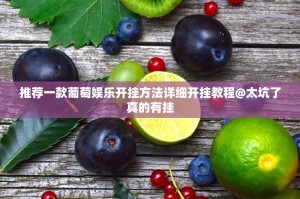 推荐一款葡萄娱乐开挂方法详细开挂教程@太坑了真的有挂