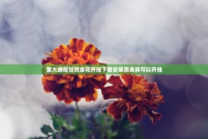 重大通报甘孜金花开挂下载安装原来真可以开挂