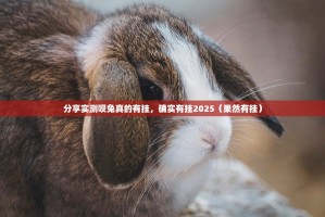 分享实测呗兔真的有挂，确实有挂2025（果然有挂）