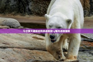 今日重大通报哈狗游透视挂!√曝光透视猫腻