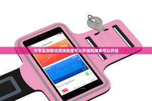 重磅.来袭TX双城棋牌“其实有挂”确实有挂(确实有挂)