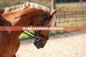 重大通报飞禽走兽有挂吗√确实真的有挂