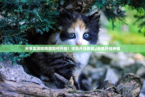 分享实测哈狗游如何开挂！详细开挂教程√必胜开挂神器