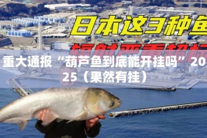 重大通报“葫芦鱼到底能开挂吗”2025（果然有挂）