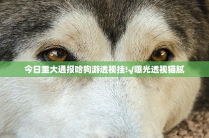 分享实测家乡鹤游确实有挂吗(确实有挂)