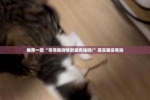 今日重大通报“德州牛仔开挂!”@太坑了真的有挂