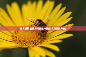 重大通报 蜜蜂历险开挂神器(其实真的能开挂)