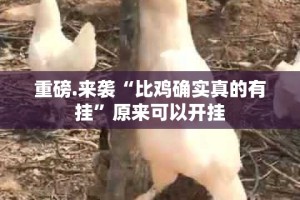 重磅.来袭“比鸡确实真的有挂”原来可以开挂