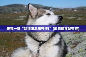 分享实测新卡农其实能开挂√确实真的有挂