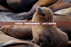 分享实测“哈狗游透视辅助挂”√太坑了原来有挂