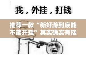 推荐一款“新好游到底能不能开挂”其实确实有挂