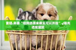 重磅.来袭“火神如何开挂！详细开挂教程”开挂神器