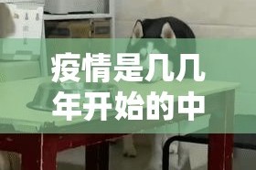 推荐一款小牛棋牌真的有挂吗√必胜开挂神器