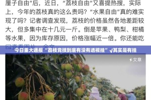 今日重大通报博雅曲靖棋牌怎么开的挂分享真的有挂给你