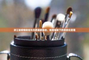 浙江省疫情防控与合肥最新动态，精准施策下的常态化管理