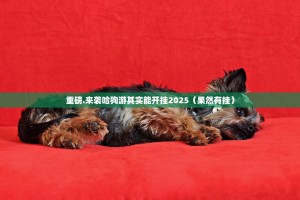 重磅.来袭哈狗游其实能开挂2025（果然有挂）