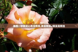 推荐一款新灵心有没有挂,其实有挂√其实是有挂