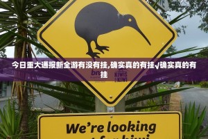 今日重大通报新全游有没有挂,确实真的有挂√确实真的有挂