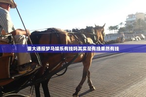 重大通报梦马娱乐有挂吗其实是有挂果然有挂