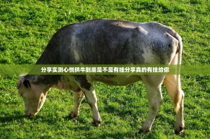 分享实测中至赣牌圈包王开挂在哪里开确实真的有挂