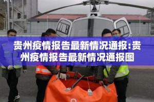 贵州疫情报告最新情况通报:贵州疫情报告最新情况通报图