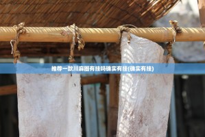 推荐一款川麻圈有挂吗确实有挂(确实有挂)