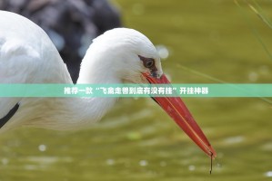 推荐一款“飞禽走兽到底有没有挂”开挂神器