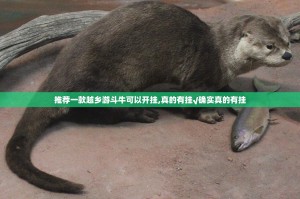 推荐一款越乡游斗牛可以开挂,真的有挂√确实真的有挂