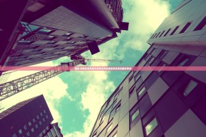 重磅.来袭四海互娱究竟有没有透视挂其实真的确实有挂