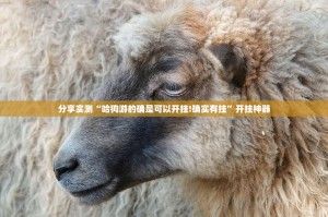 分享实测“哈狗游的确是可以开挂!确实有挂”开挂神器