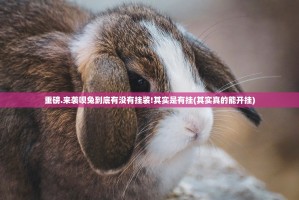 重磅.来袭呗兔到底有没有挂装!其实是有挂(其实真的能开挂)